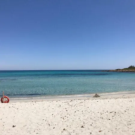 Tatil Evi Casa Marlys *